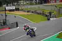 brands-hatch-photographs;brands-no-limits-trackday;cadwell-trackday-photographs;enduro-digital-images;event-digital-images;eventdigitalimages;no-limits-trackdays;peter-wileman-photography;racing-digital-images;trackday-digital-images;trackday-photos